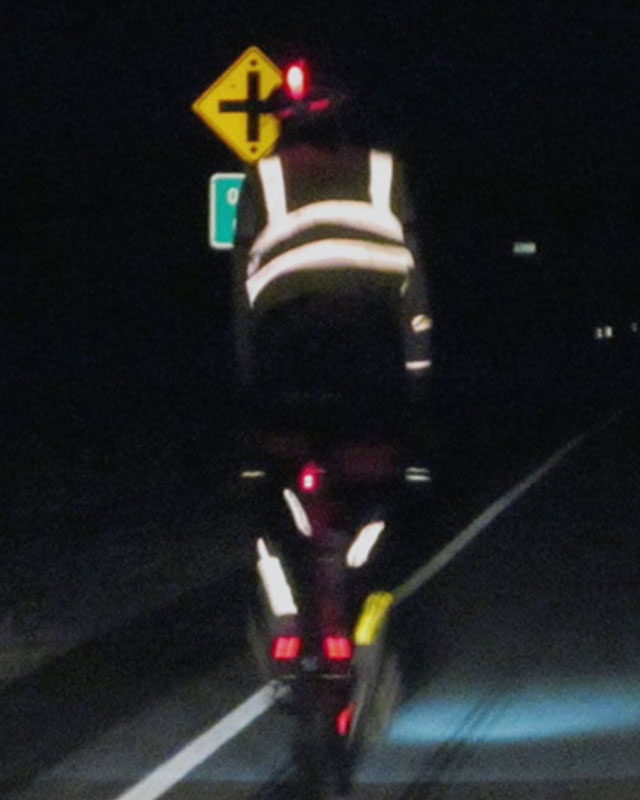Professional-Reflective-safety-Vest